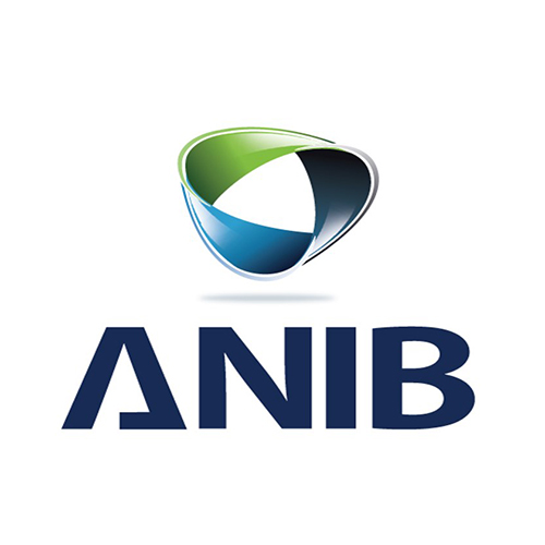 anib logo