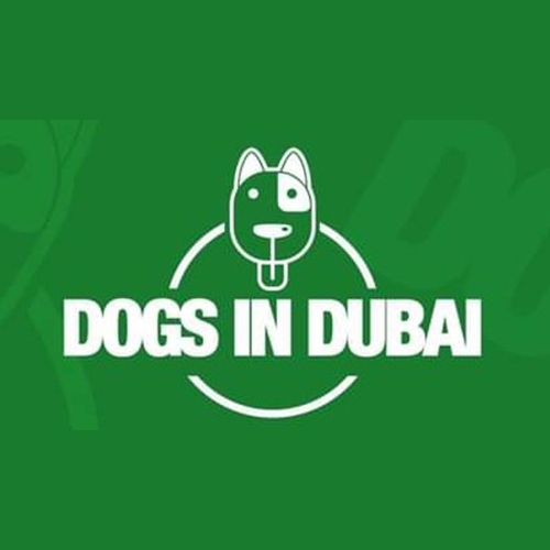 dogs in dubai logo